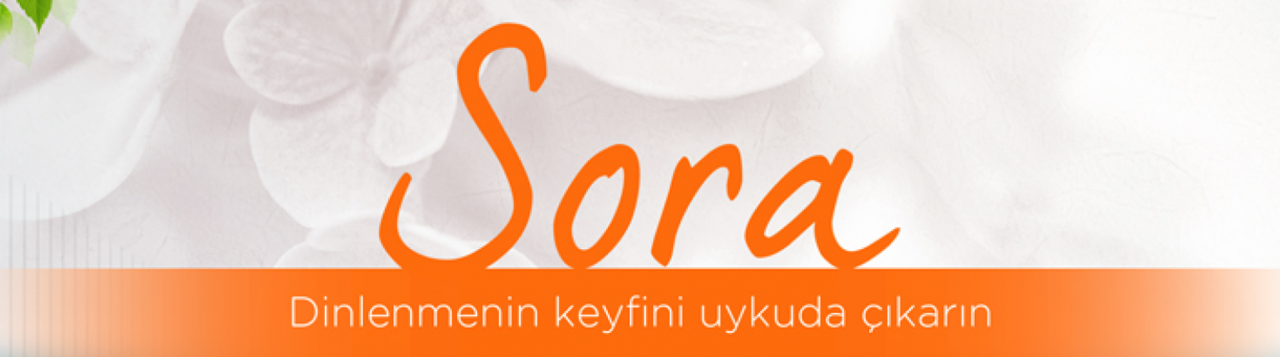 tr_sora_header