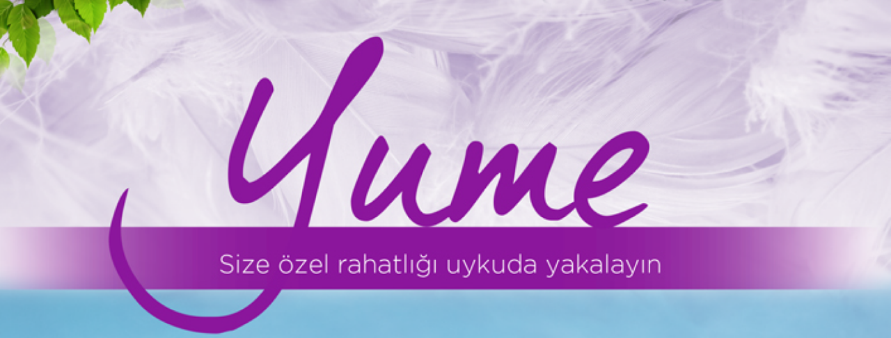 tr_yume_header